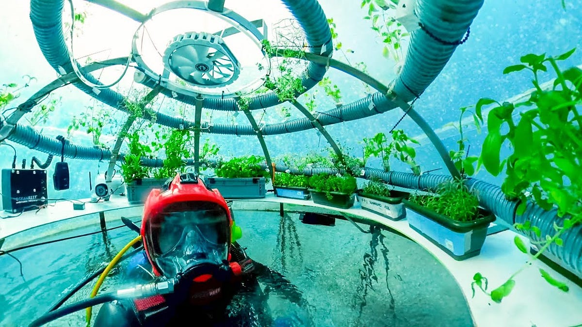 Hydroponic Farms