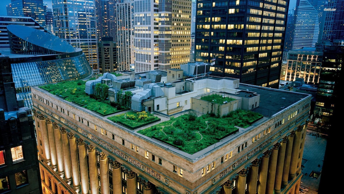 Rooftop Garden 1