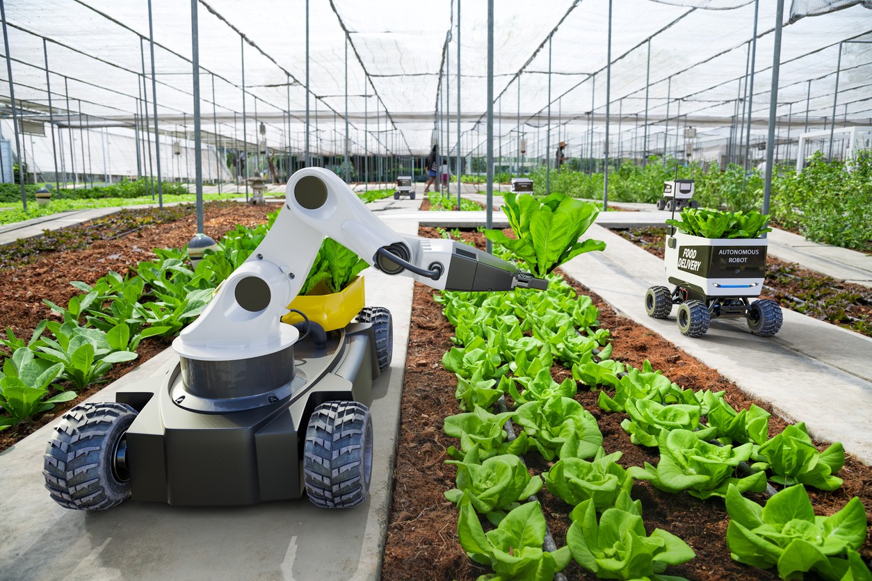 Rooftop Garden 3