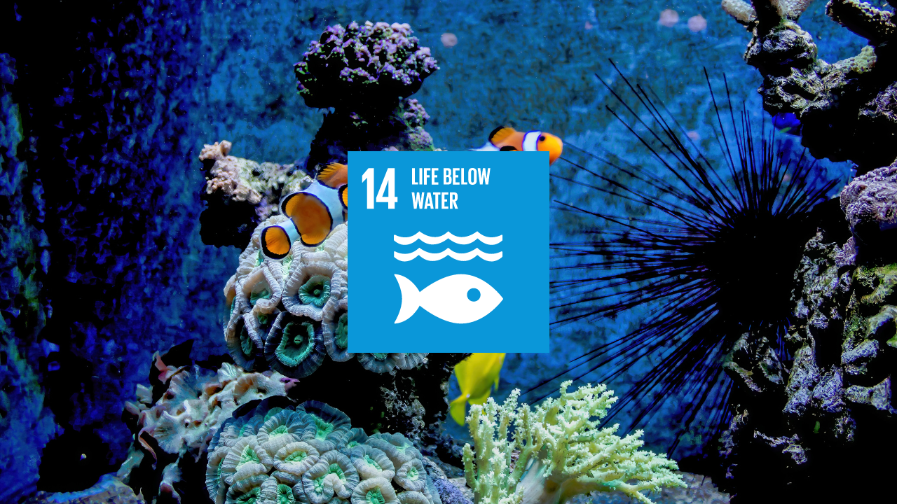 Sustainability