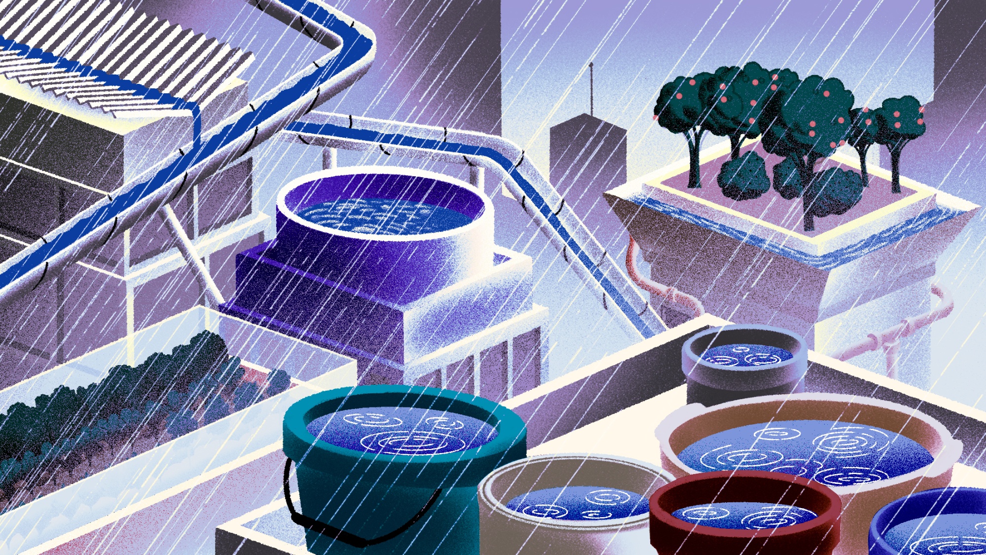 Water Conservation